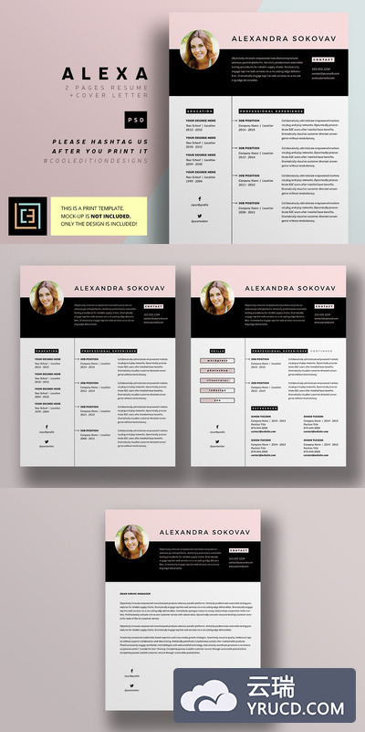 个人简历模板 Alexa - Resume / CV - 3 pack