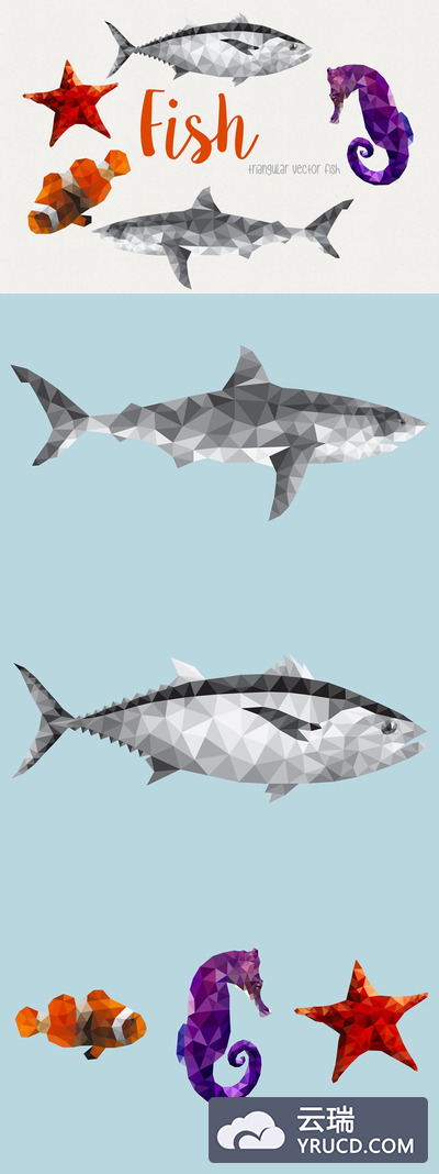 时尚手写字体 Fish - Marine Animals Pro