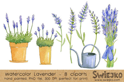 水彩花卉剪贴画 Watercolor ClipArt -Lavender