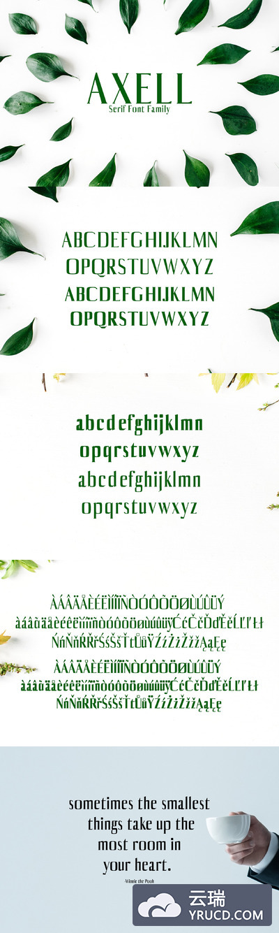 时尚设计字体 Axell Serif 4 Font Family Pack