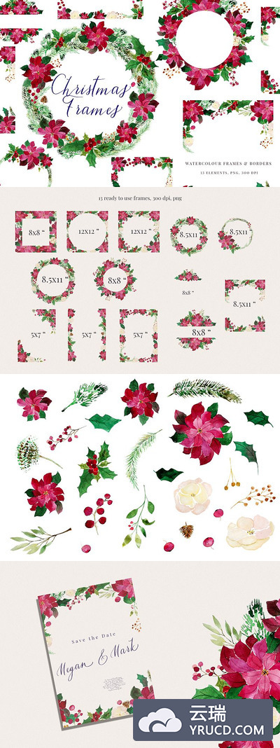 圣诞水彩一品红花卉框架PNG剪贴画素材