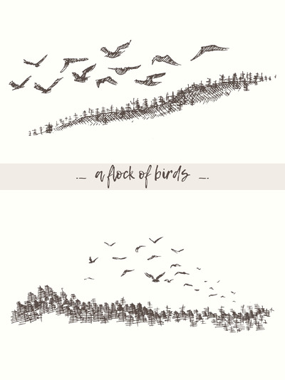飞翔的鸟群插画 Flying flock of birds