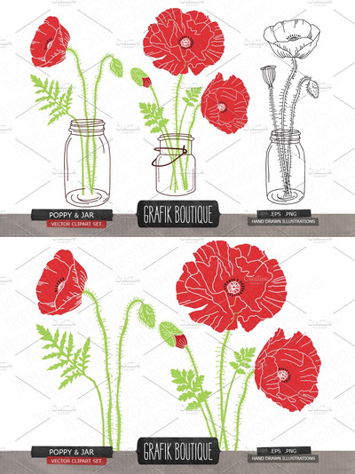 罂粟花玻璃瓶插画 Poppy flower mason jar vector