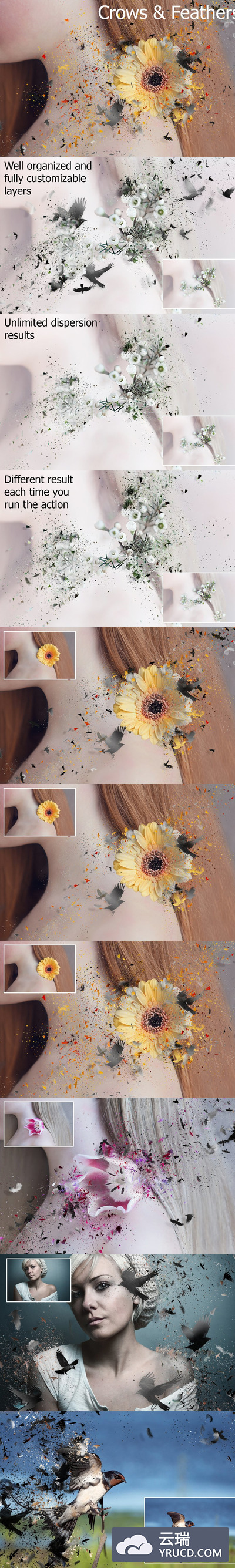 PS羽毛特效动作 Crows & Feathers Shatter Action