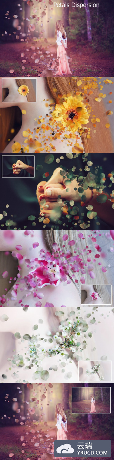 PS花瓣分散动作 Petals Dispersion Ps Action