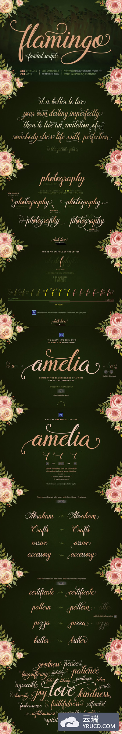 时尚手写字体 Flamingo - formal script