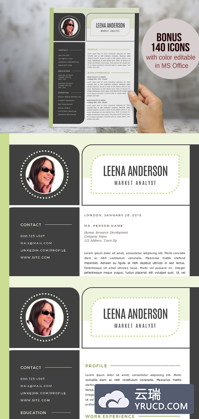 简单的现代简历模板 Modern Word resume