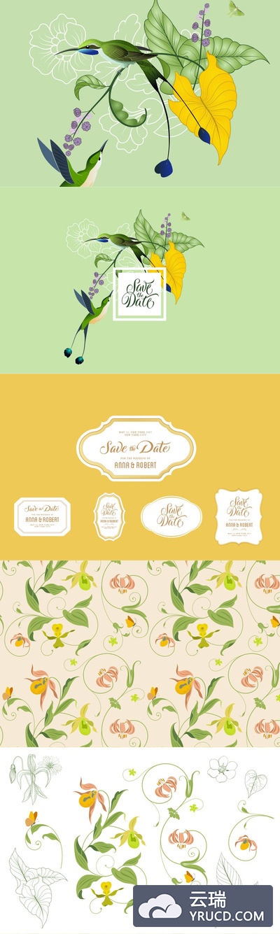 婚礼花卉元素插画 Wedding Graphics: Birds and Flowers