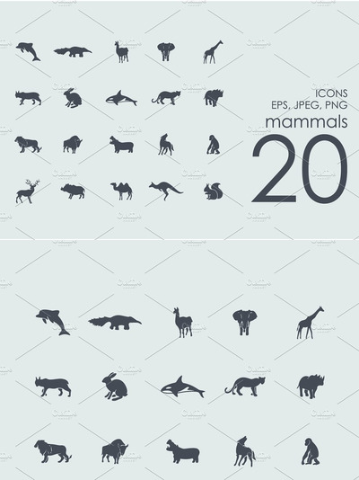 哺乳动物图标素材 20 mammals icons