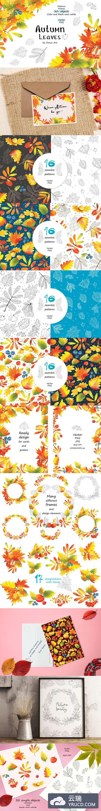 鲜艳多彩的秋叶图案&框架素材合集