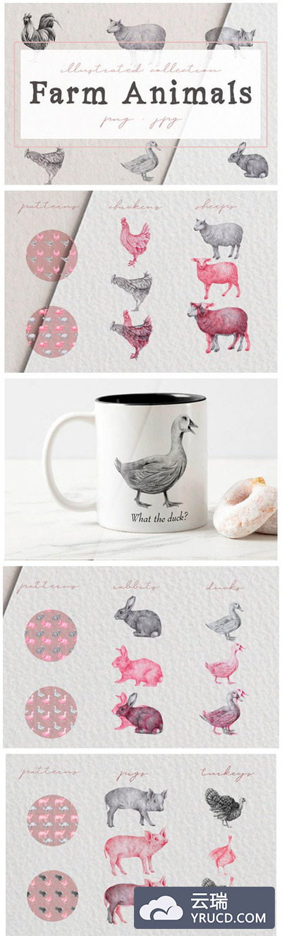 手绘的农场动物插画素材合集