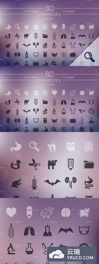 兽医图标素材 80 VETERINARY icons