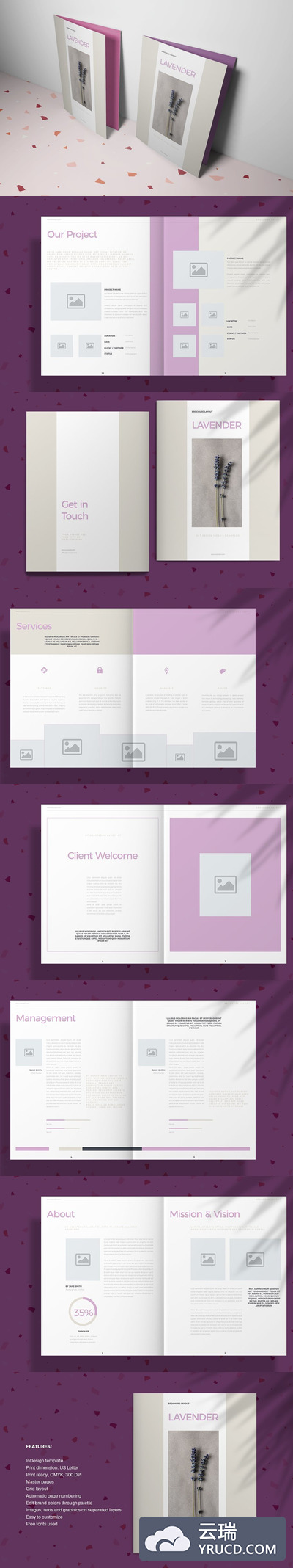 紫色系薰衣草杂志宣传册模板