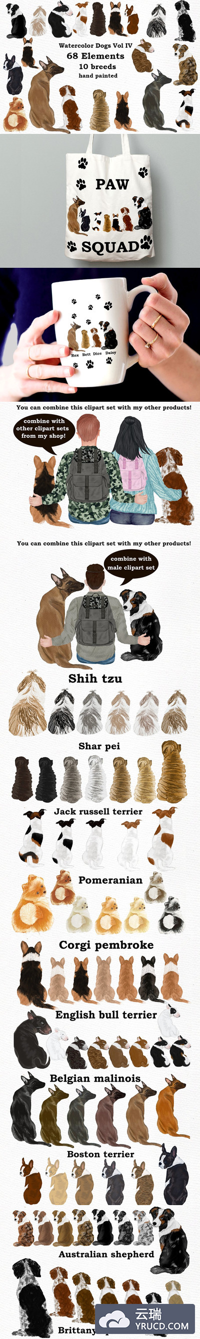 宠物狗品种大全水彩剪贴画素材