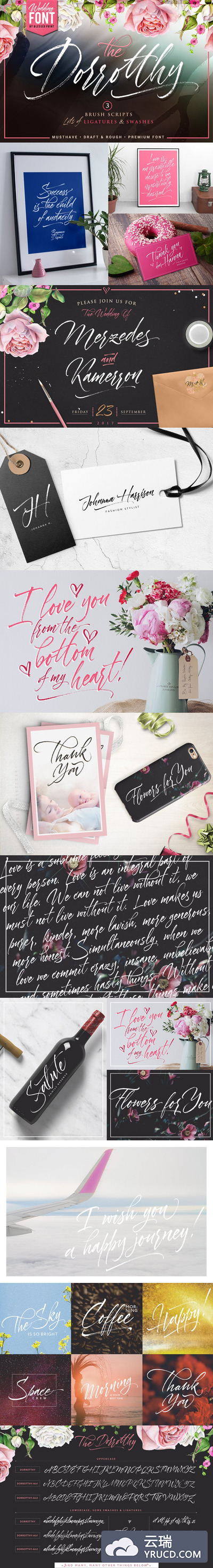 时尚手写设计字体 Dorrotthy script: 3 fonts & swashes