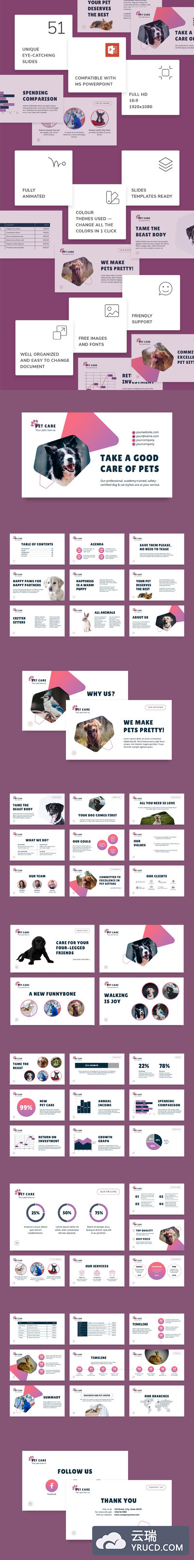 宠物护理管理PPT商业计划书模板下载[PPTX]