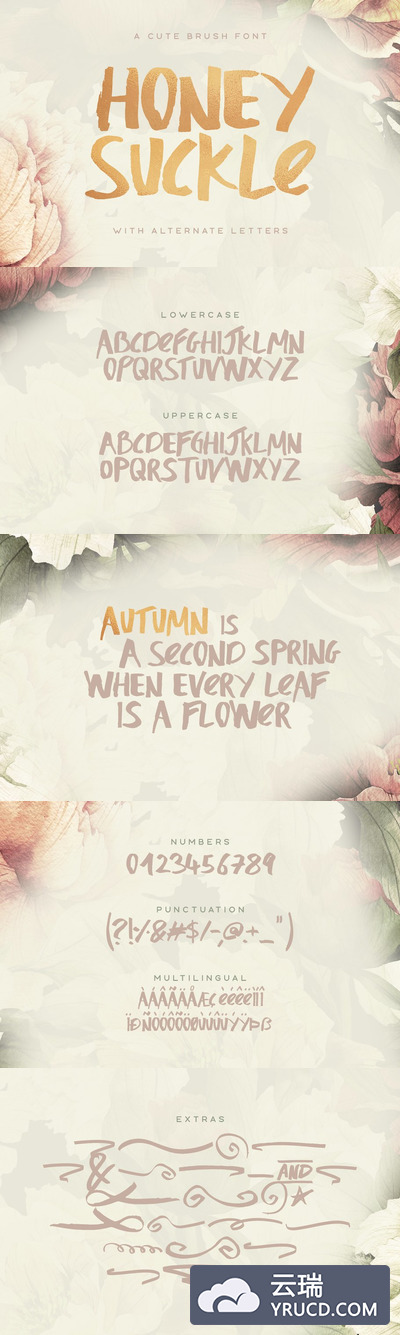 手写广告字体 Honeysuckle Typeface