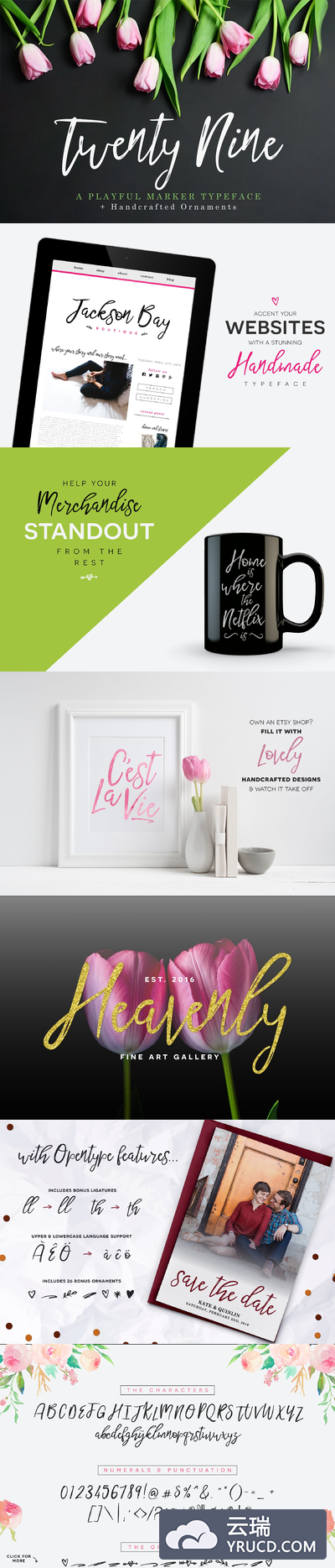手写脚本字体 Twenty Nine Font + Bonus