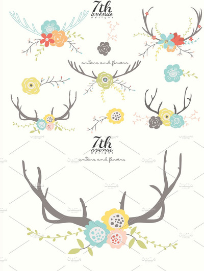 鹿角花卉插画 Antlers and Flowers