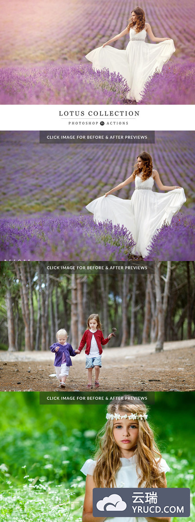 照片ps动作 Lotus PS Action Collection
