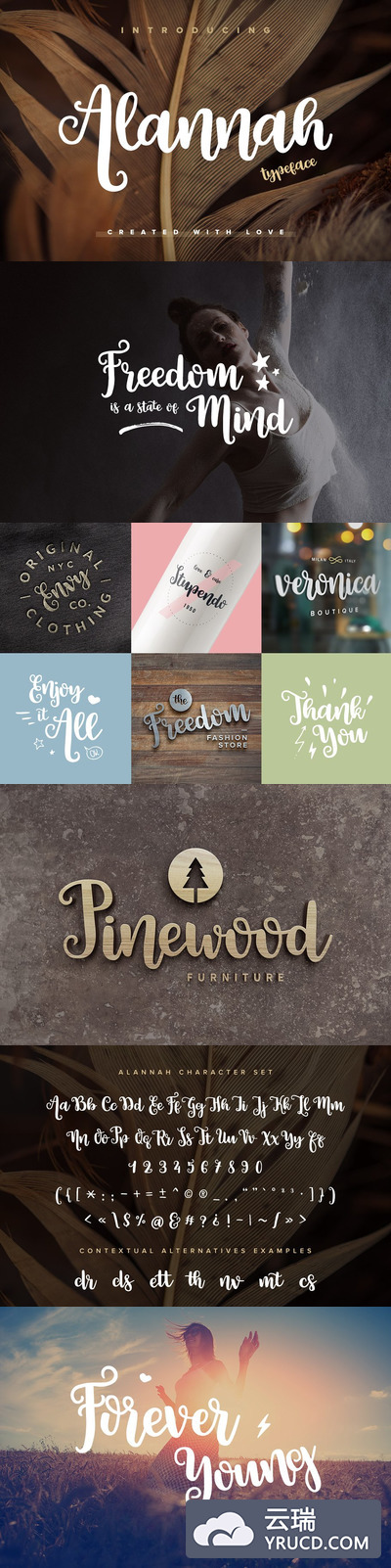 手写草书字体 Alannah Typeface