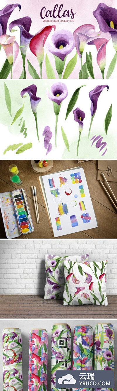 马蹄莲水彩插画设计素材