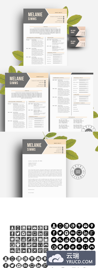 时尚简历模板套装 2 p resume pack for Word