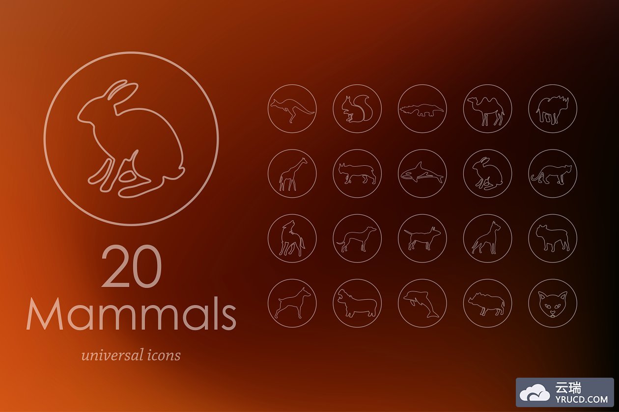 哺乳动物图标素材 20 mammals line icons