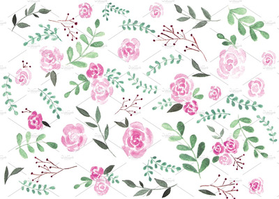 水彩玫瑰插画 Roses painted with watercolor