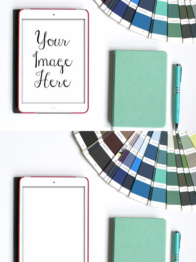 iPad样机 iPad Mini Mock Up