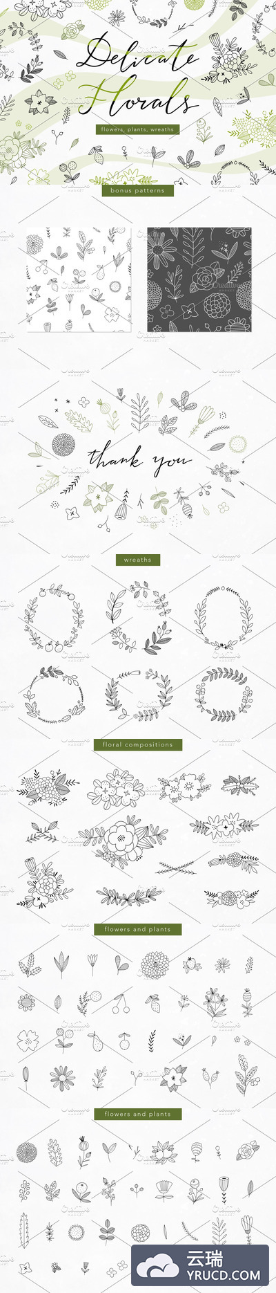 精致的花卉元素插画&无缝图案素材
