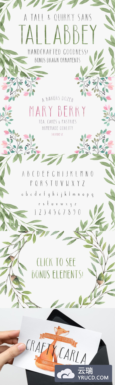 手写插画字体 Tall Abbey + Ornaments!