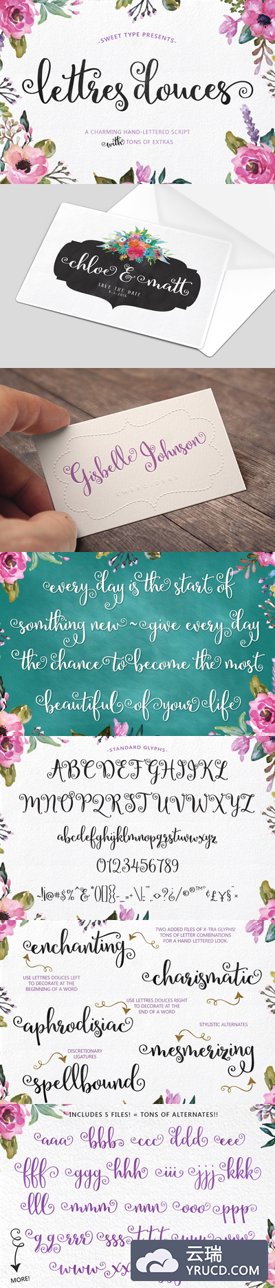 草书设计字体 Lettres Douces Hand-Lettered Script