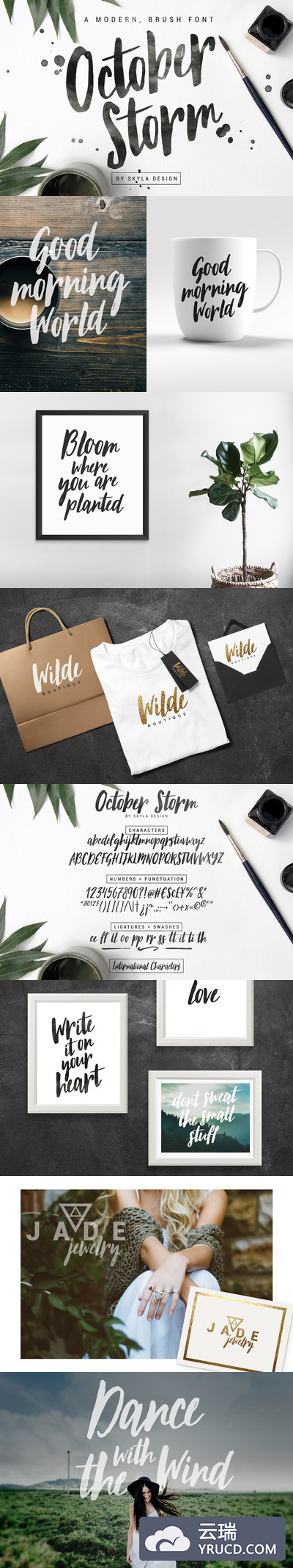 手写笔刷字体 October Storm, Modern brush font