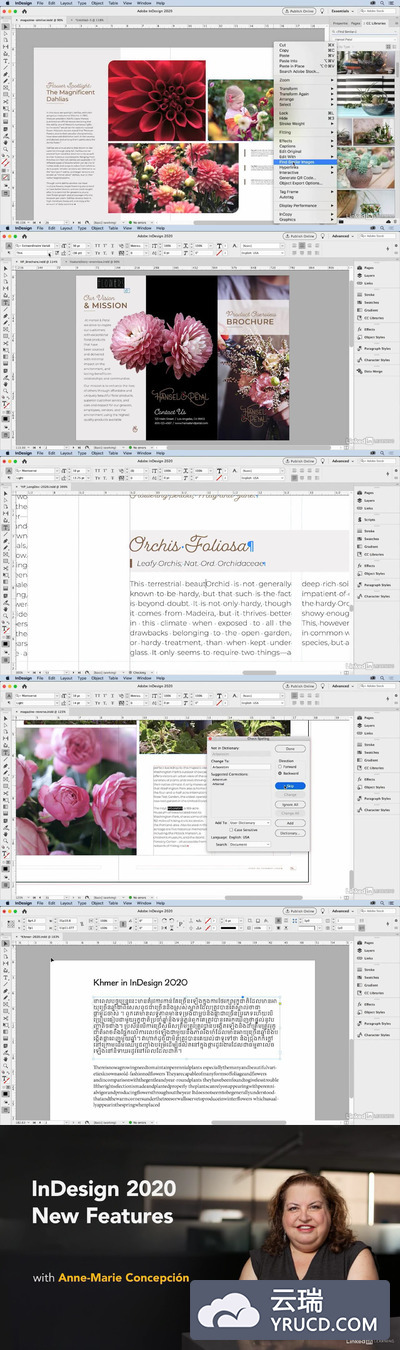 InDesign 2020 新功能介绍