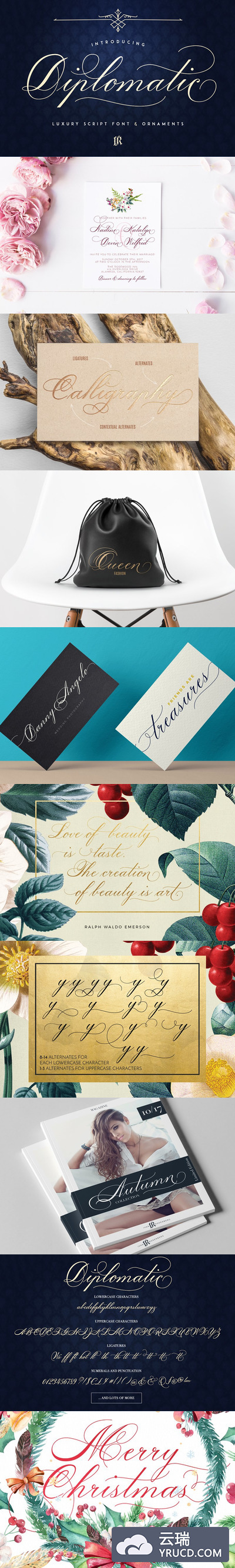 草书设计字体 Diplomatic Font