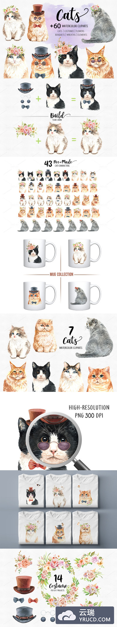 手工绘制的猫咪动物水彩剪贴画素材合集