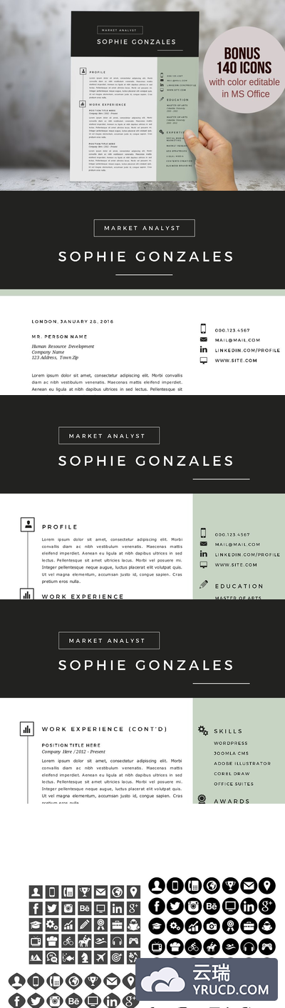 简历设计模板 Green black 2 in 1 Word resume