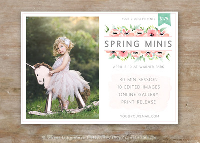 春天华丽的会员模板 Spring Mini Session Template