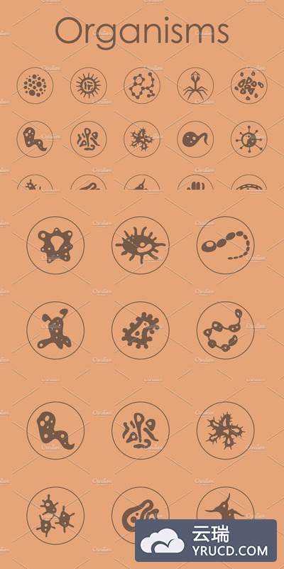 简单的生物图标 Organisms simple icons