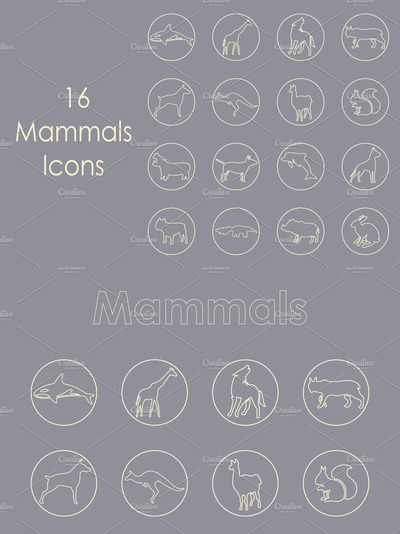 哺乳动物图标素材 16 MAMMALS simple icons
