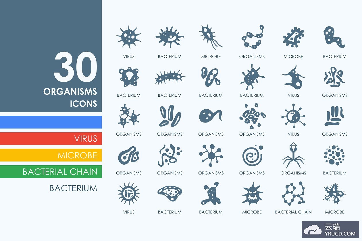 生物细菌图标素材 30 Organisms icons