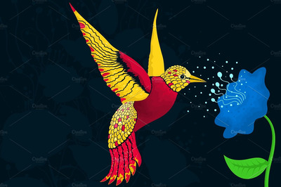 翠鸟图案插画 Colibri