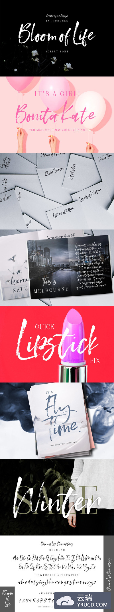 手写笔刷字体 Bloom of Life Script font