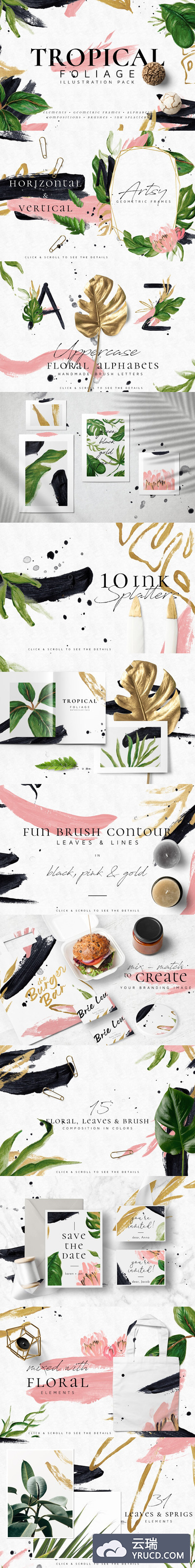 热带树叶元素插画图形套装