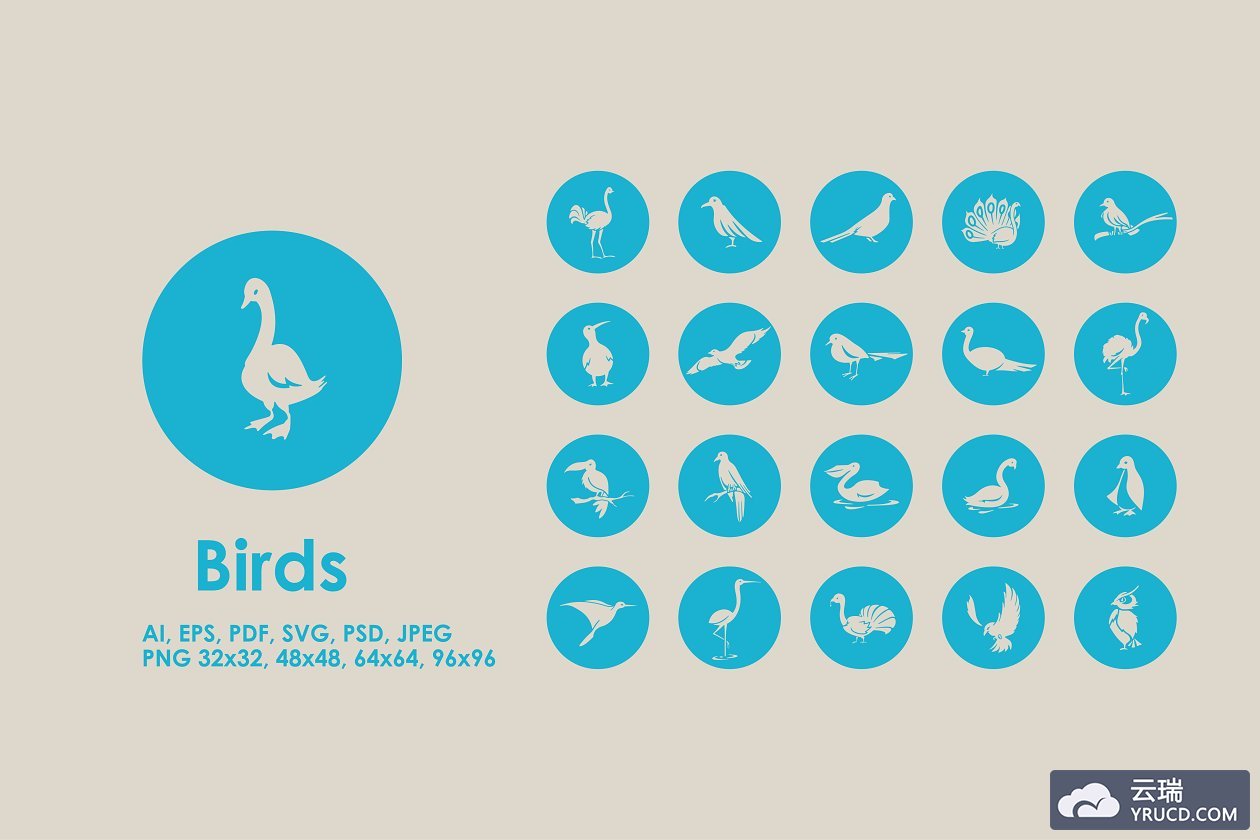 鸟类图标素材 Birds icons