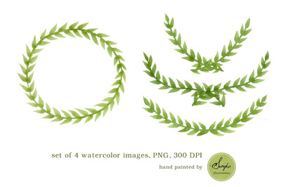 水彩橄榄枝框架插画 Watercolor Frames , Foliage