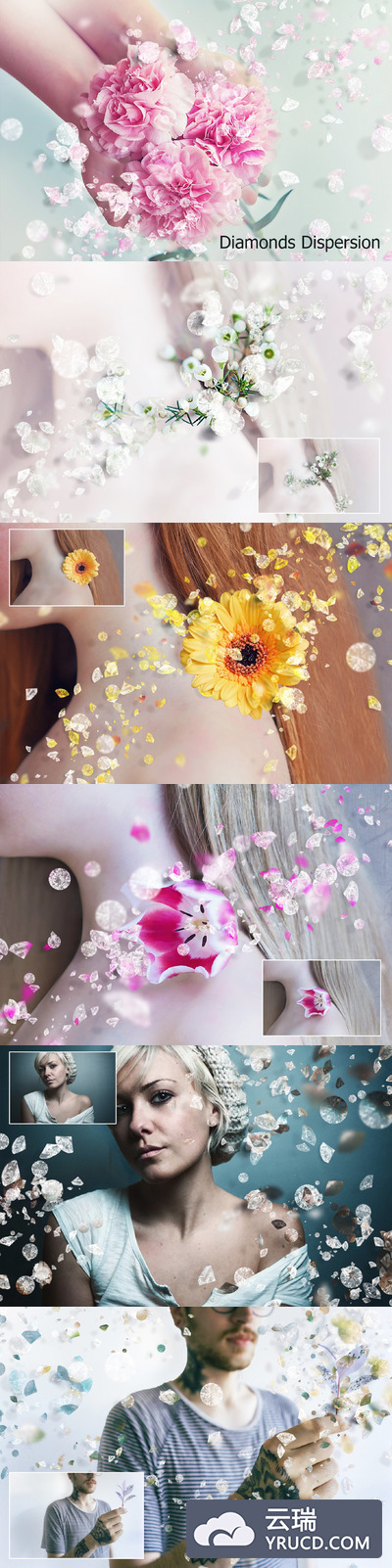 钻石色散花瓣动作 Diamonds Dispersion