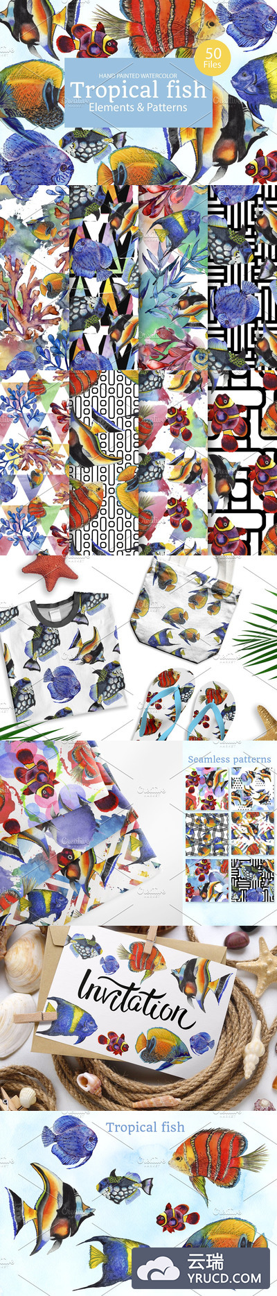 50个彩色海洋鱼类水彩剪贴画素材合集