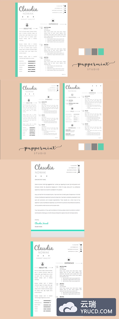 简洁的简历模板 Resume Template + Cover Letter WORD